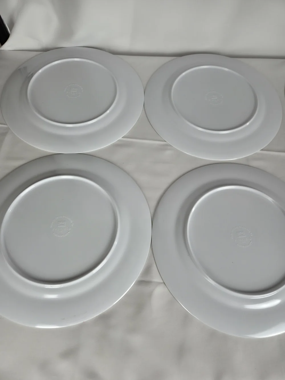 Plastic Picnic Plates 11